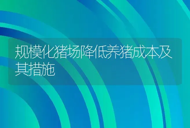 规模化猪场降低养猪成本及其措施 | 动物养殖