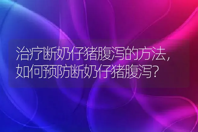 治疗断奶仔猪腹泻的方法，如何预防断奶仔猪腹泻？ | 兽医知识大全