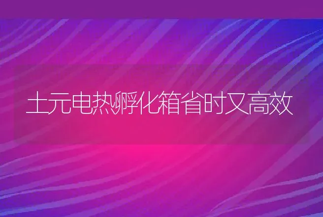 土元电热孵化箱省时又高效 | 动物养殖