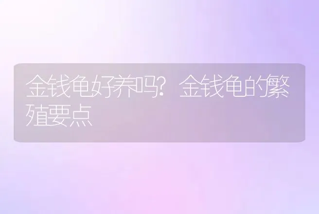 金钱龟好养吗?金钱龟的繁殖要点 | 特种养殖