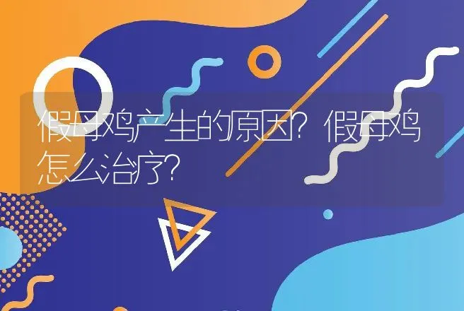 假母鸡产生的原因？假母鸡怎么治疗？ | 兽医知识大全