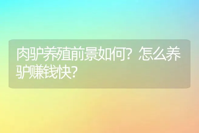 肉驴养殖前景如何？怎么养驴赚钱快？ | 养殖致富