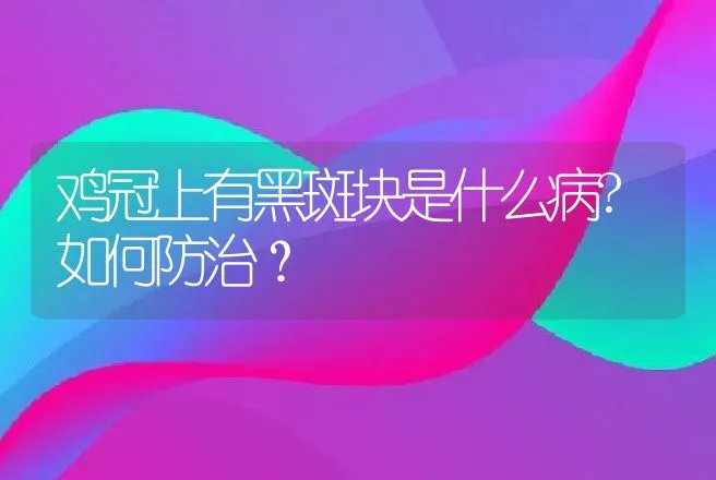 鸡冠上有黑斑块是什么病?如何防治？ | 兽医知识大全