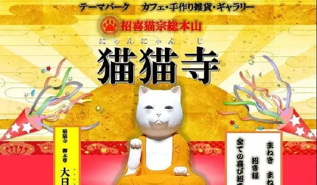 日本人吸猫走火入魔，开设“猫猫寺”！ | 宠物新闻资讯