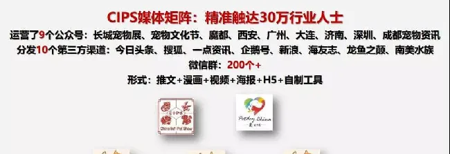 明年经销商怎么干？6大亮点破解转型升级密码！ | 宠物行业洞察