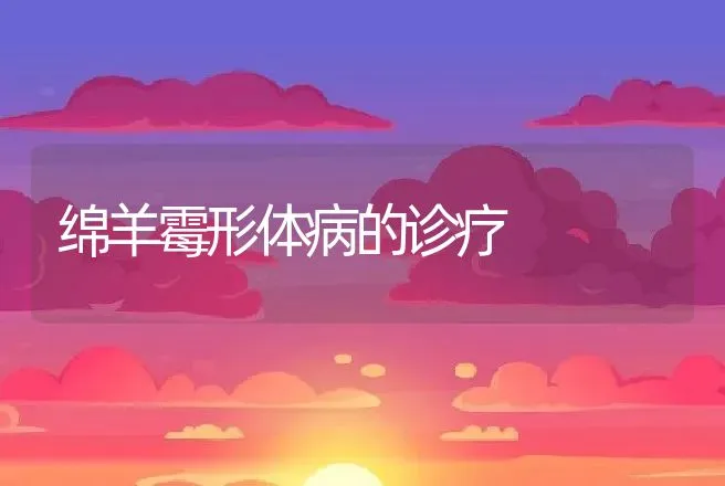 绵羊霉形体病的诊疗 | 动物养殖