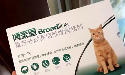 教你猫咪耳螨治疗方法,亲测有效! | 宠物猫病虫害防治