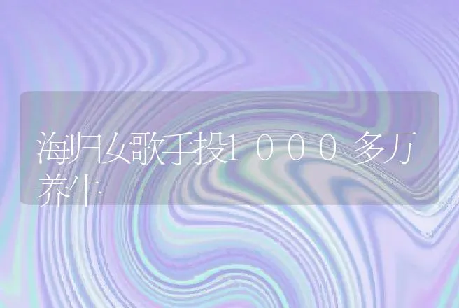 海归女歌手投1000多万养牛 | 家畜养殖