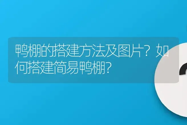 鸭棚的搭建方法及图片？如何搭建简易鸭棚？ | 兽医知识大全