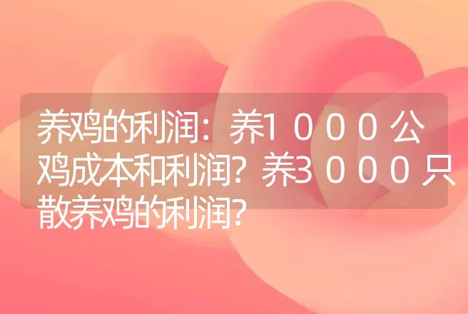 养鸡的利润：养1000公鸡成本和利润？养3000只散养鸡的利润？ | 养殖致富