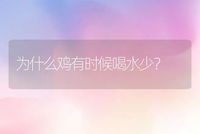 为什么鸡有时候喝水少？ | 家禽养殖