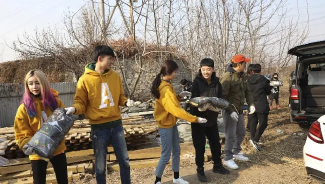 莫少聪携众艺人助力宠物收容 送流浪猫狗温暖寒冬 | 宠物新闻资讯