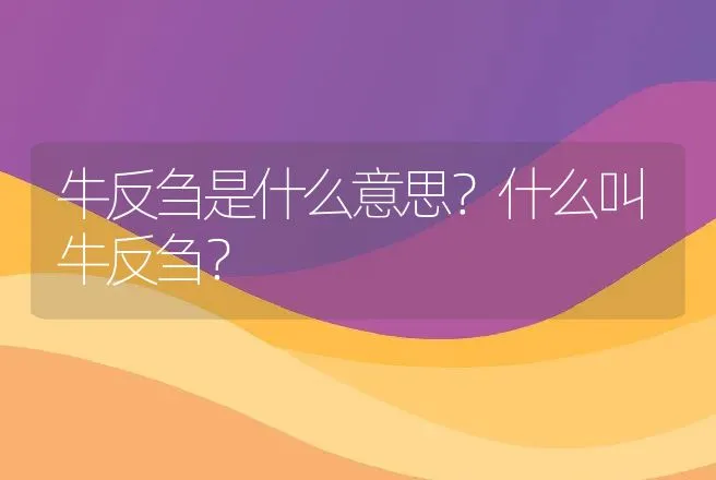 牛反刍是什么意思？什么叫牛反刍？ | 动物养殖