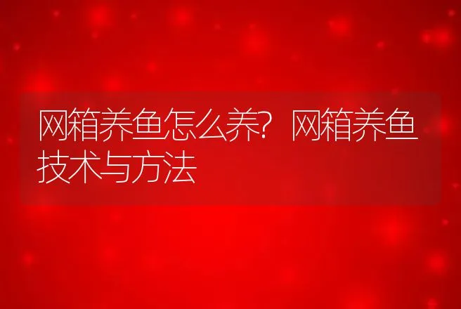 网箱养鱼怎么养?网箱养鱼技术与方法 | 水产知识