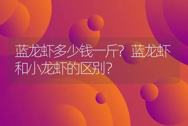 蓝龙虾多少钱一斤?蓝龙虾和小龙虾的区别？ | 动物养殖