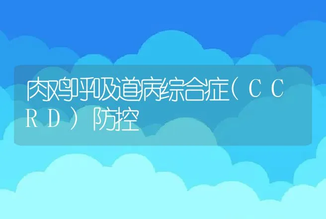 肉鸡呼吸道病综合症(CCRD)防控 | 兽医知识大全