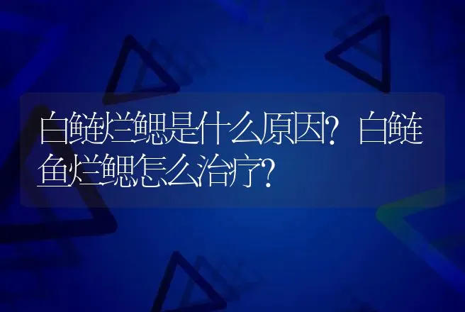 白鲢烂鳃是什么原因？白鲢鱼烂鳃怎么治疗？ | 兽医知识大全