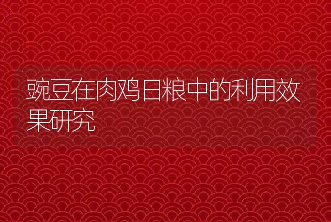 豌豆在肉鸡日粮中的利用效果研究 | 动物养殖