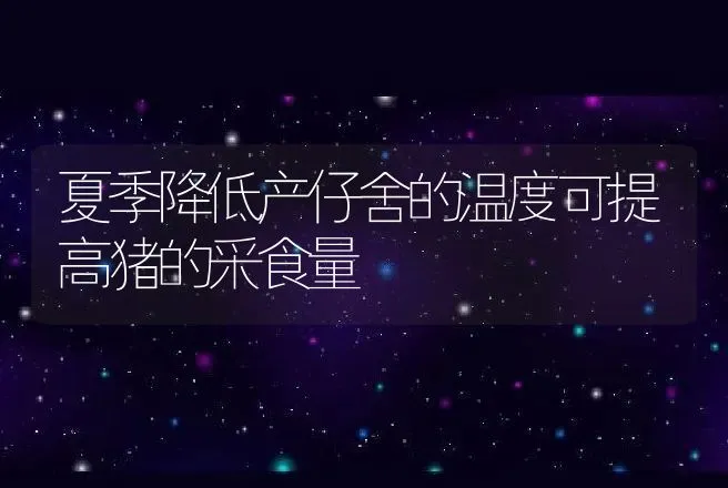 夏季降低产仔舍的温度可提高猪的采食量 | 动物养殖
