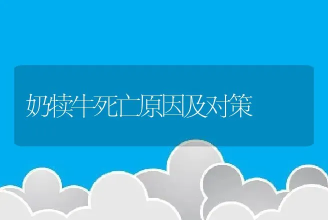 奶犊牛死亡原因及对策 | 动物养殖