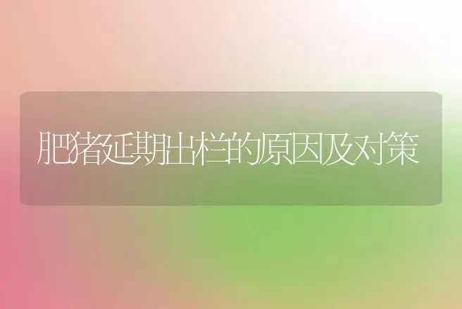 肥猪延期出栏的原因及对策 | 动物养殖