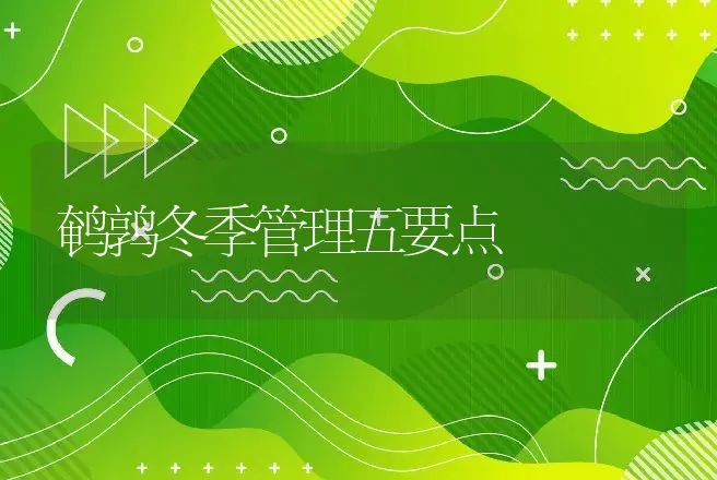 鹌鹑冬季管理五要点 | 特种养殖