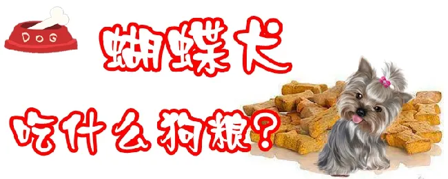 蝴蝶犬吃什么狗粮 | 宠物病虫害防治