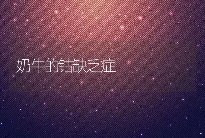 奶牛的钴缺乏症 | 动物养殖