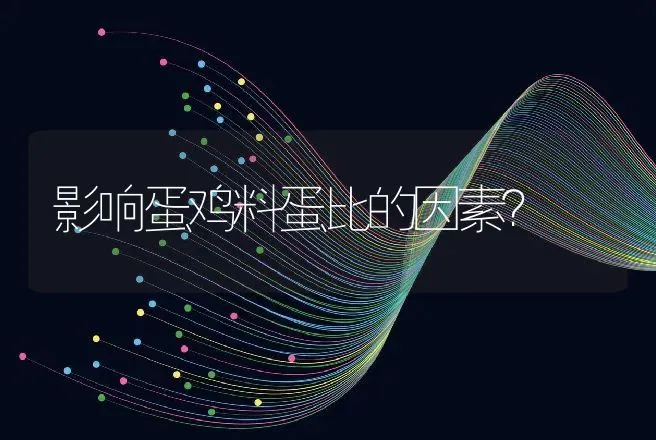 影响蛋鸡料蛋比的因素？ | 家禽养殖