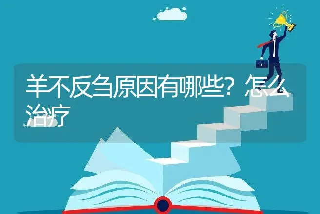 羊不反刍原因有哪些？怎么治疗 | 家畜养殖