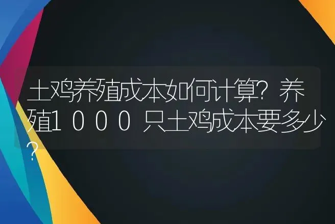 土鸡养殖成本如何计算？养殖1000只土鸡成本要多少？ | 家禽养殖