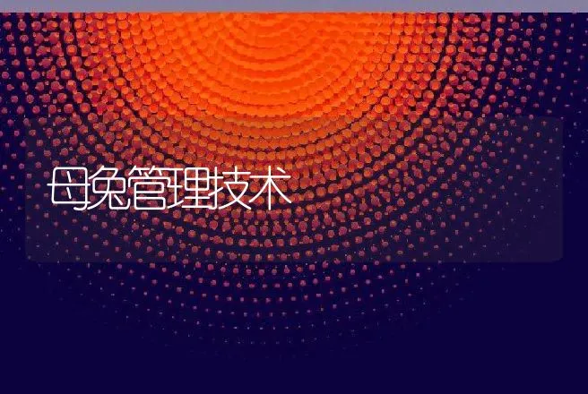 母兔管理技术 | 动物养殖