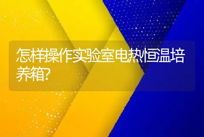 怎样操作实验室电热恒温培养箱? | 动物养殖