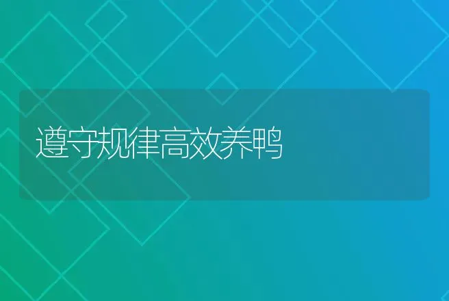 种鸡疫苗接种实际操作技术要点 | 动物养殖