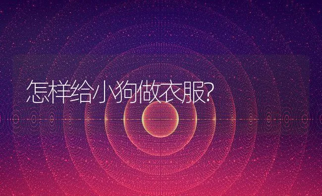 怎样给小狗做衣服? | 宠物猫