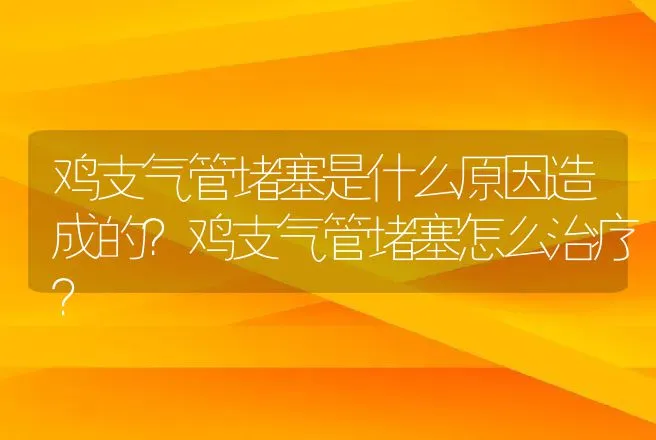 鸡支气管堵塞是什么原因造成的？鸡支气管堵塞怎么治疗？ | 兽医知识大全