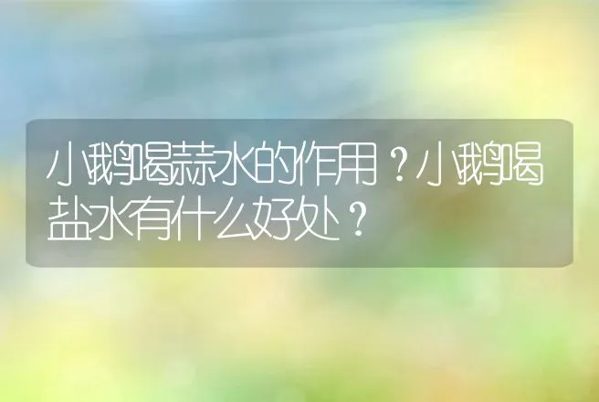 小鹅喝蒜水的作用？小鹅喝盐水有什么好处？ | 家禽养殖