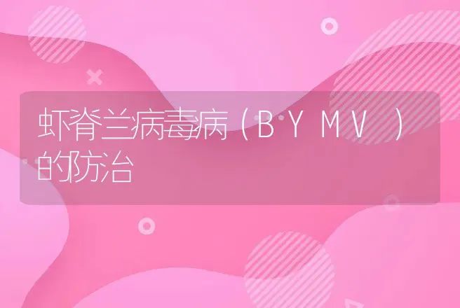 虾脊兰病毒病（BYMV）的防治 | 动物养殖