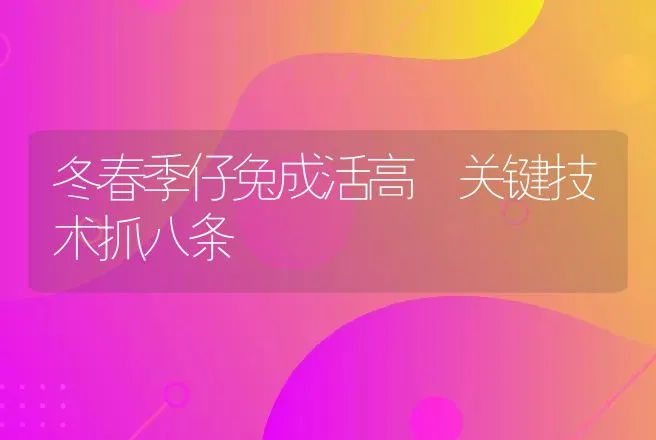 冬春季仔兔成活高 关键技术抓八条 | 动物养殖