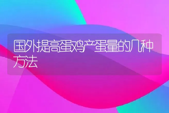 国外提高蛋鸡产蛋量的几种方法 | 动物养殖