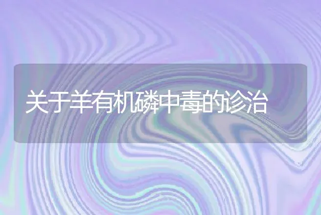 关于羊有机磷中毒的诊治 | 动物养殖