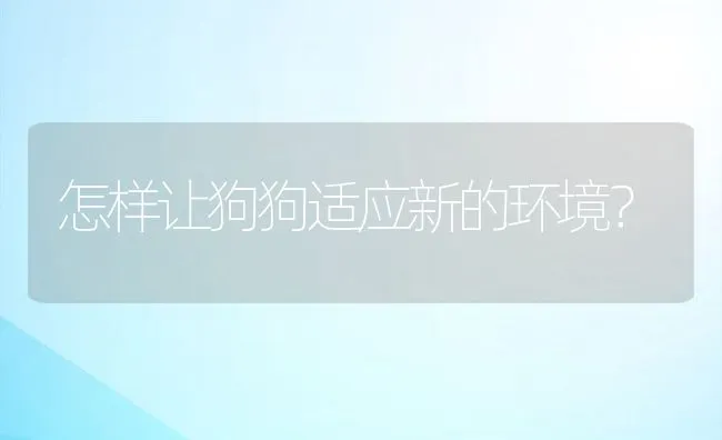 怎样让狗狗适应新的环境？ | 宠物猫