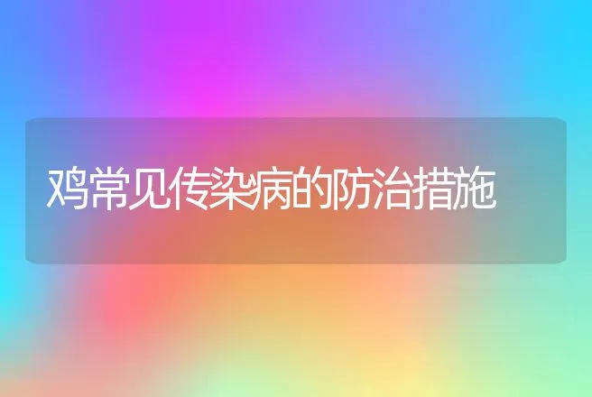 鸡常见传染病的防治措施 | 家禽养殖