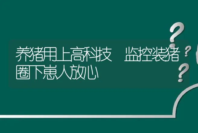 养猪用上高科技 监控装猪圈下崽人放心 | 动物养殖