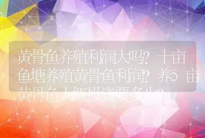 黄骨鱼养殖利润大吗?十亩鱼塘养殖黄骨鱼利润?养5亩黄骨鱼大概投资要多少? | 养殖致富