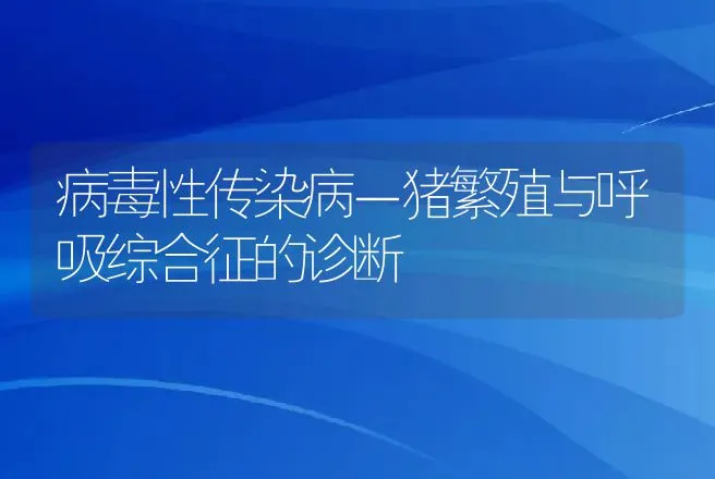 病毒性传染病－猪繁殖与呼吸综合征的诊断 | 动物养殖