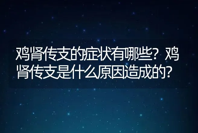 鸡肾传支的症状有哪些？鸡肾传支是什么原因造成的？ | 兽医知识大全