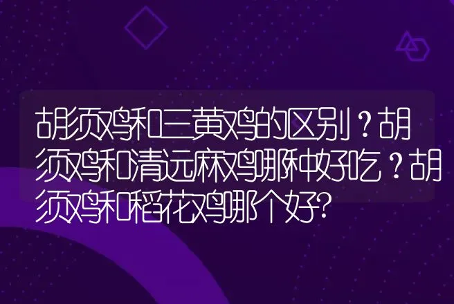 胡须鸡和三黄鸡的区别？胡须鸡和清远麻鸡哪种好吃？胡须鸡和稻花鸡哪个好? | 动物养殖