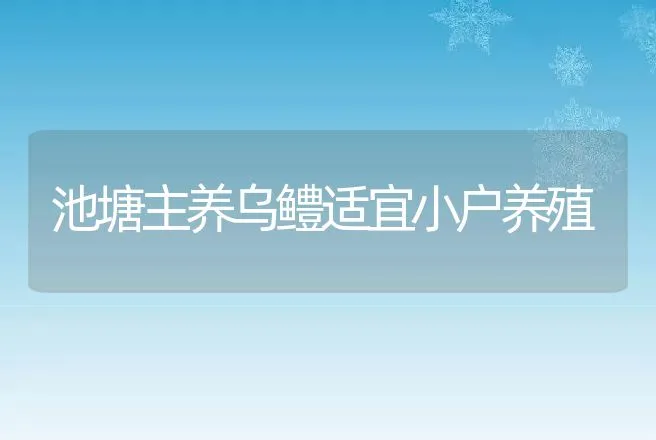 池塘主养乌鳢适宜小户养殖 | 动物养殖