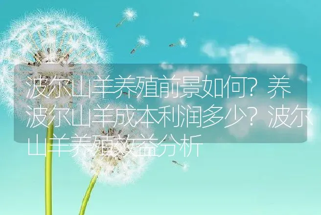 波尔山羊养殖前景如何？养波尔山羊成本利润多少？波尔山羊养殖效益分析 | 养殖致富